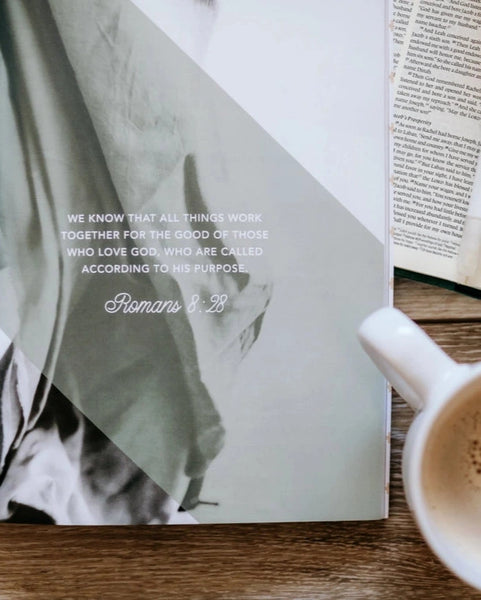 Daughters of Grace (Women of the Bible Study)- The Daily Grace Co