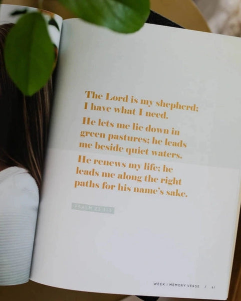 He Leads Me (Psalm 23)- The Daily Grace Co