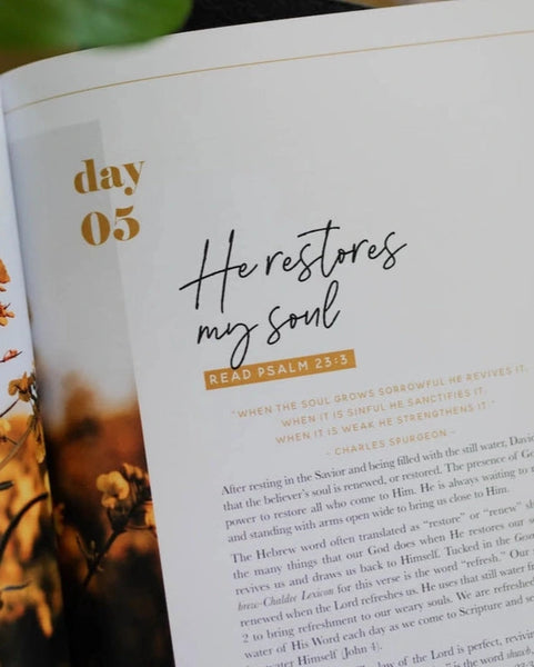 He Leads Me (Psalm 23)- The Daily Grace Co