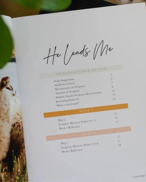 He Leads Me (Psalm 23)- The Daily Grace Co