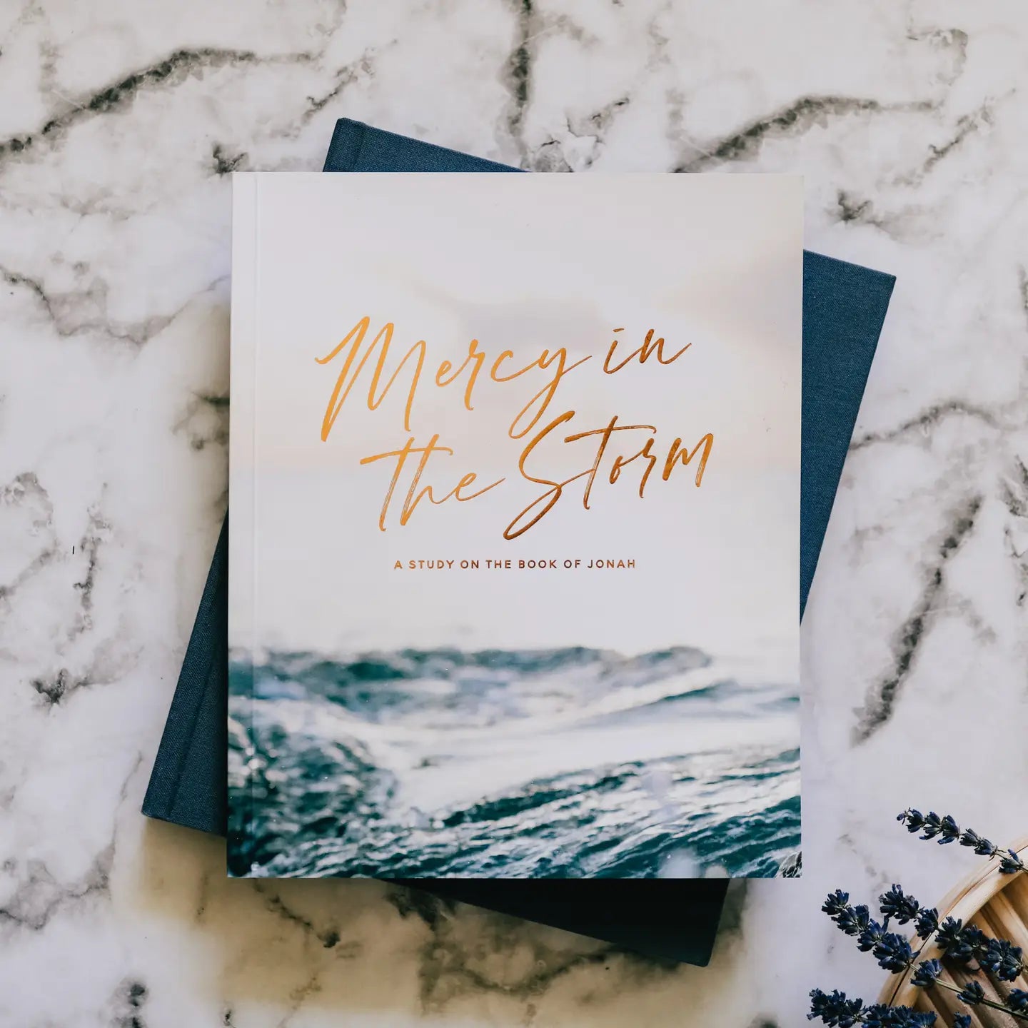 Mercy in the Storm (A Study on the Book of Jonah)- The Daily Grace Co.